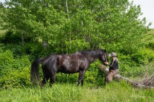 The Art of Open-Field Photography